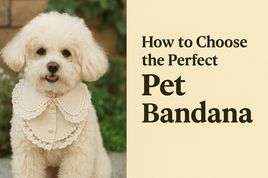 How to Choose the Right Pet Bandana for Your Dog or Cat