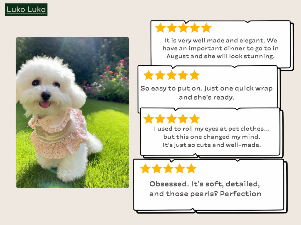Ella – Pink Lace Dress for Pets | Soft, Elegant, Comfortable