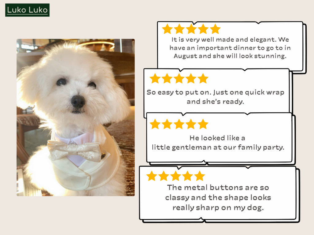 Oxford – Bowtie Suit for Dogs | Elegant Formal Pet Outfit