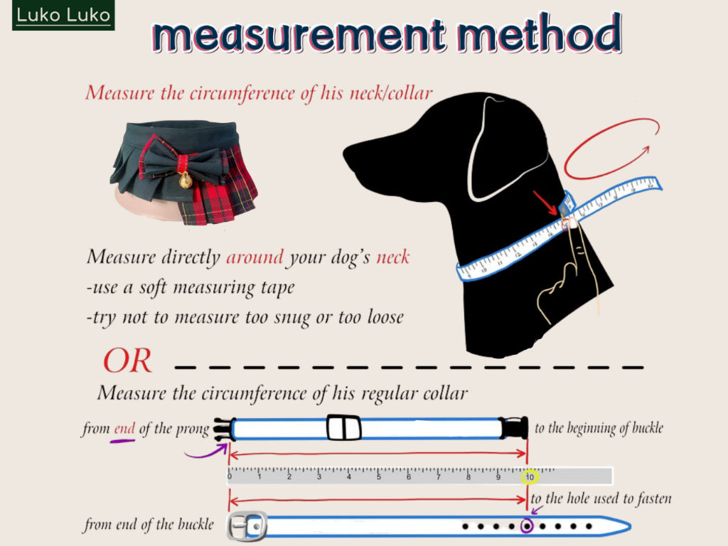President – Red & Blue Tie Dog Suit | Formal Style