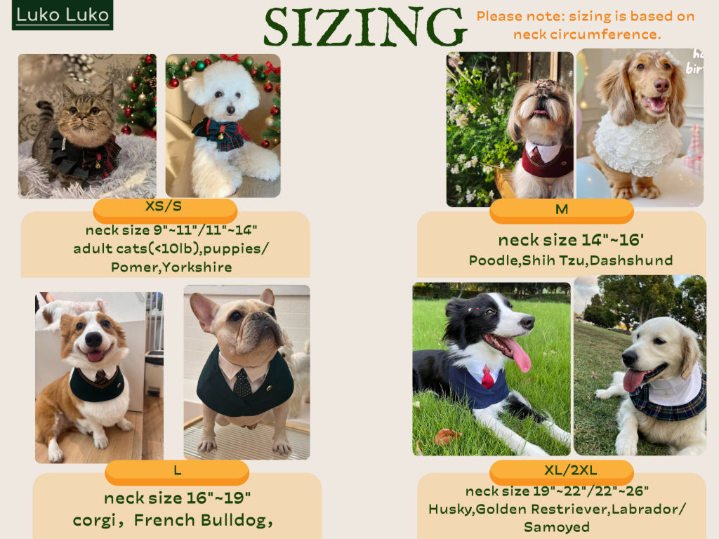 Windsor – Burgundy & Green Dog Suit | Elegant Outfit