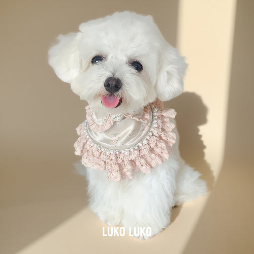Ella – Pink Lace Dress for Pets | Soft, Elegant, Comfortable