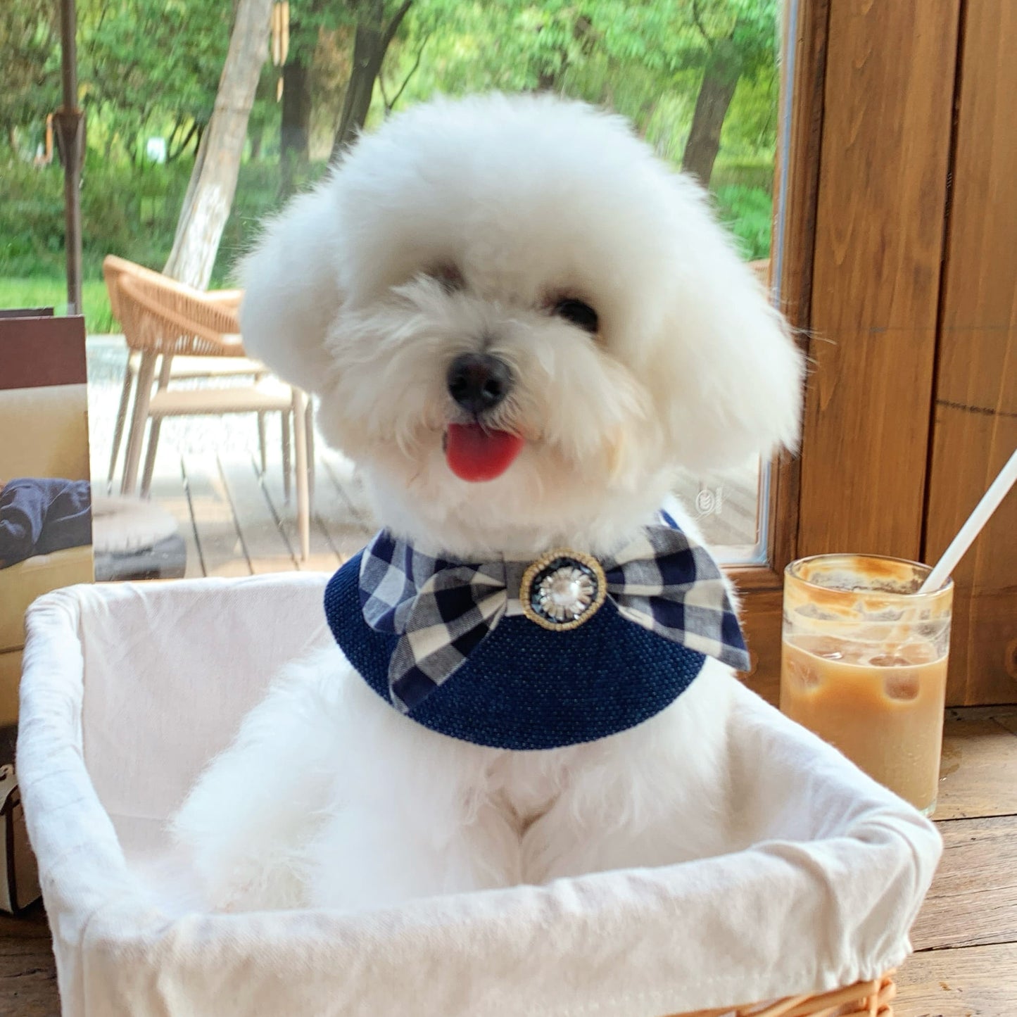 Jessie - Denim Bow Dog Cape | Western Charm & Stylish Design