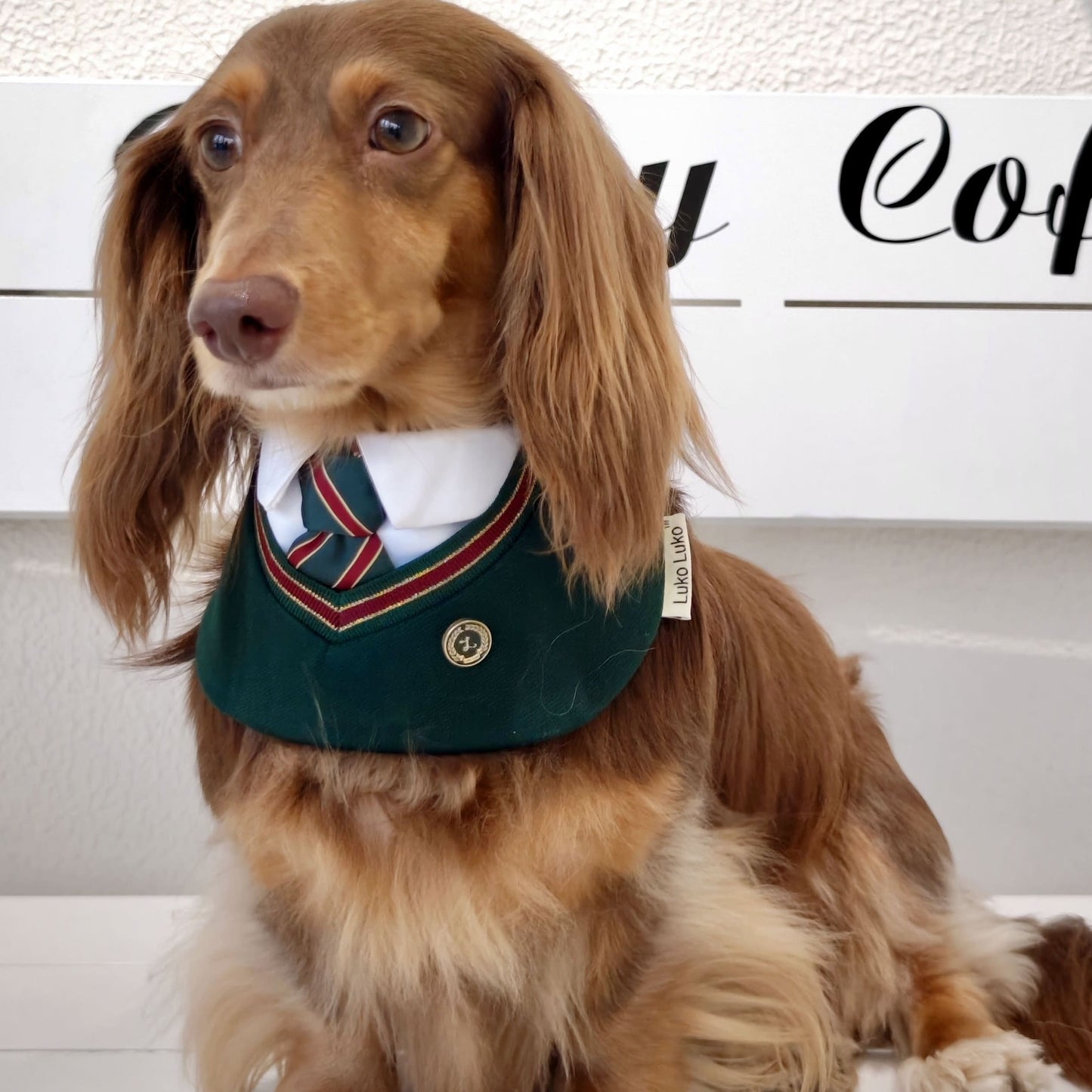 Ivy – Red & Green Preppy Dog Bandana | Stylish Occasion Wear