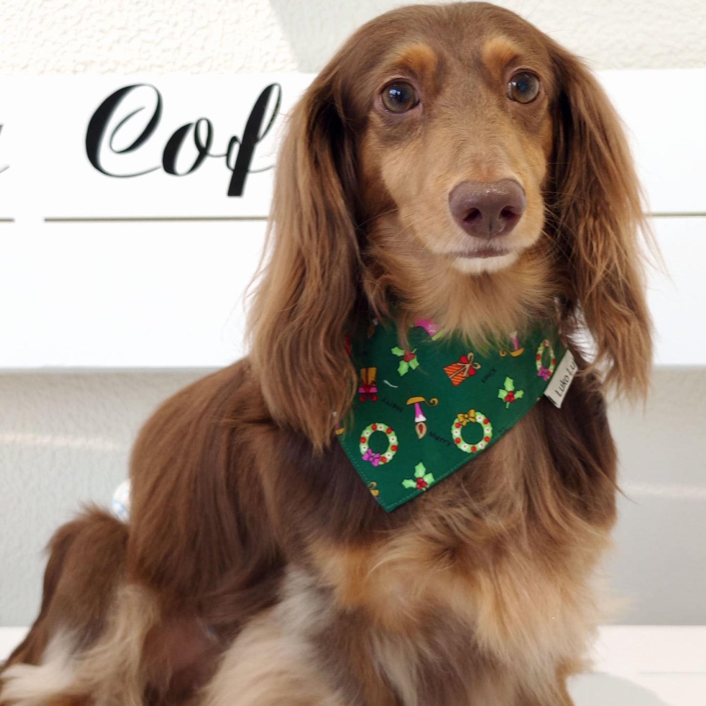 Avery – Christmas Bandana for Dogs | Holiday Style