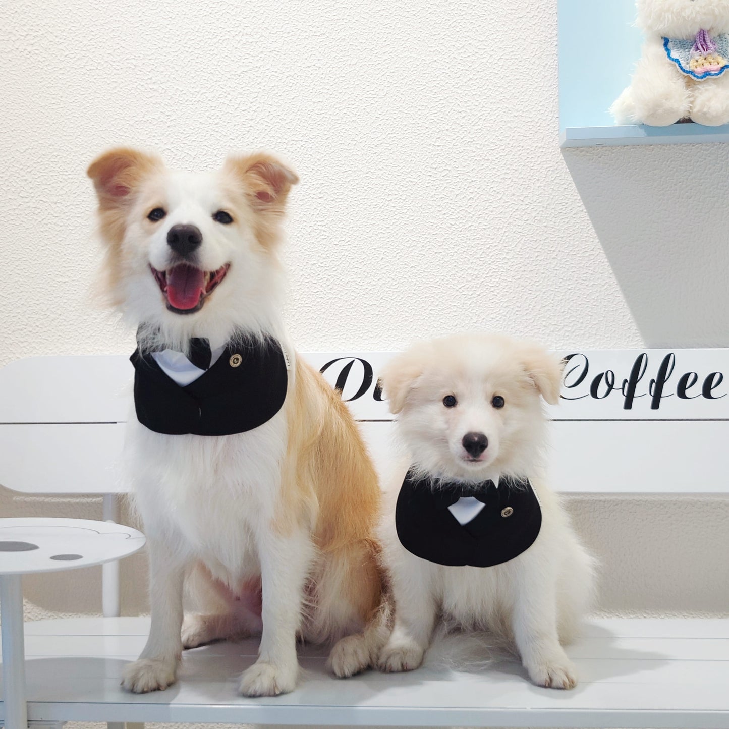 Oxford – Bowtie Suit for Dogs | Elegant Formal Pet Outfit