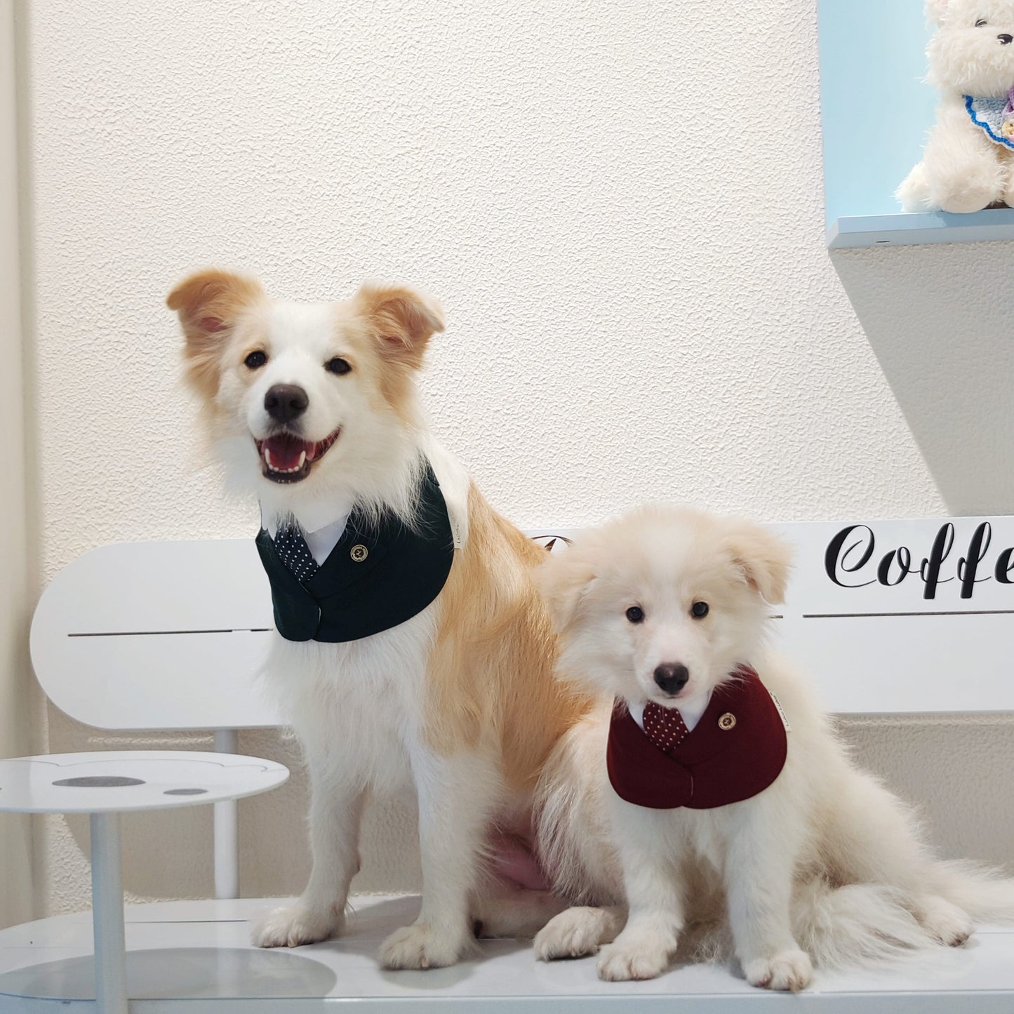Windsor – Burgundy & Green Dog Suit | Elegant Outfit
