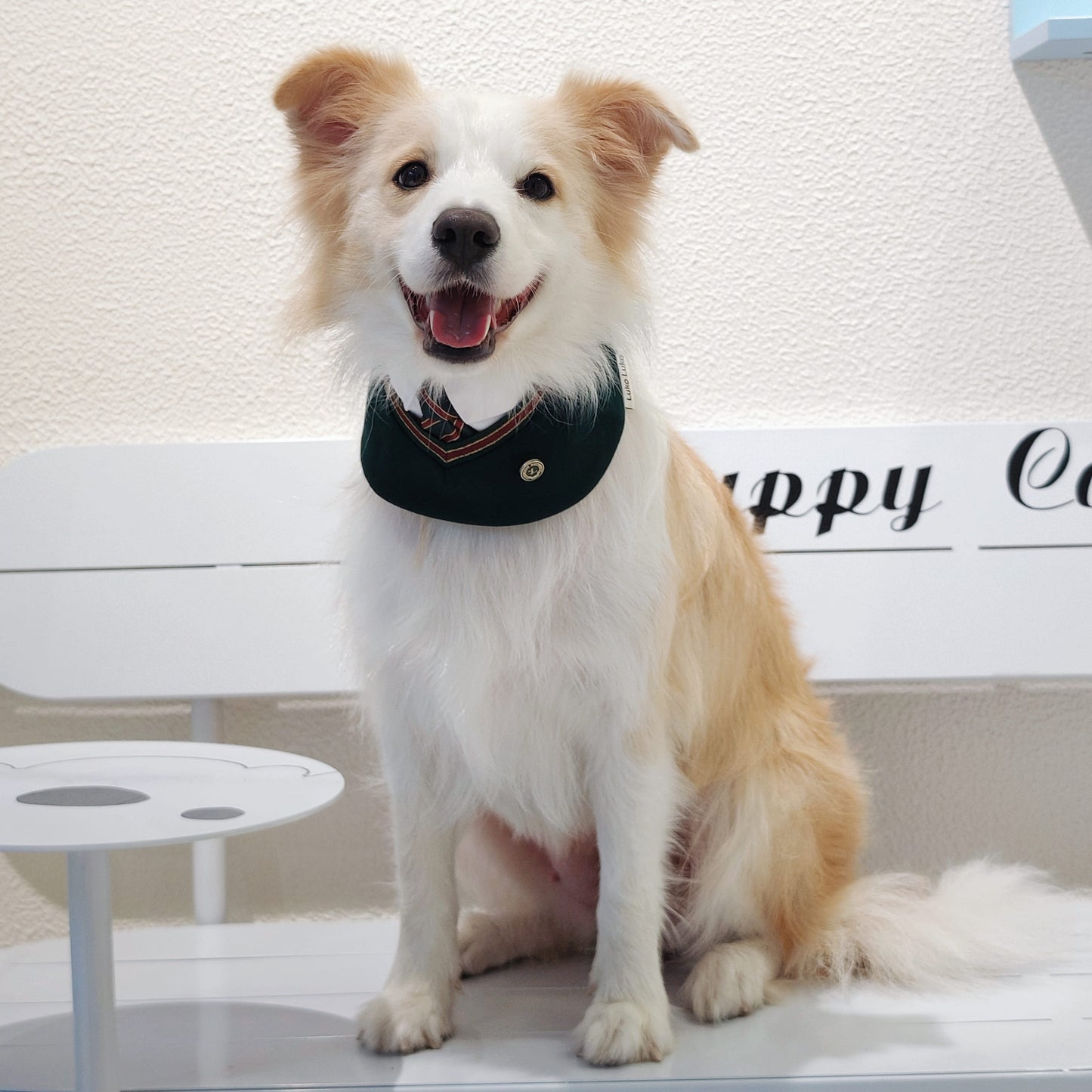 Ivy – Red & Green Preppy Dog Bandana | Stylish Occasion Wear