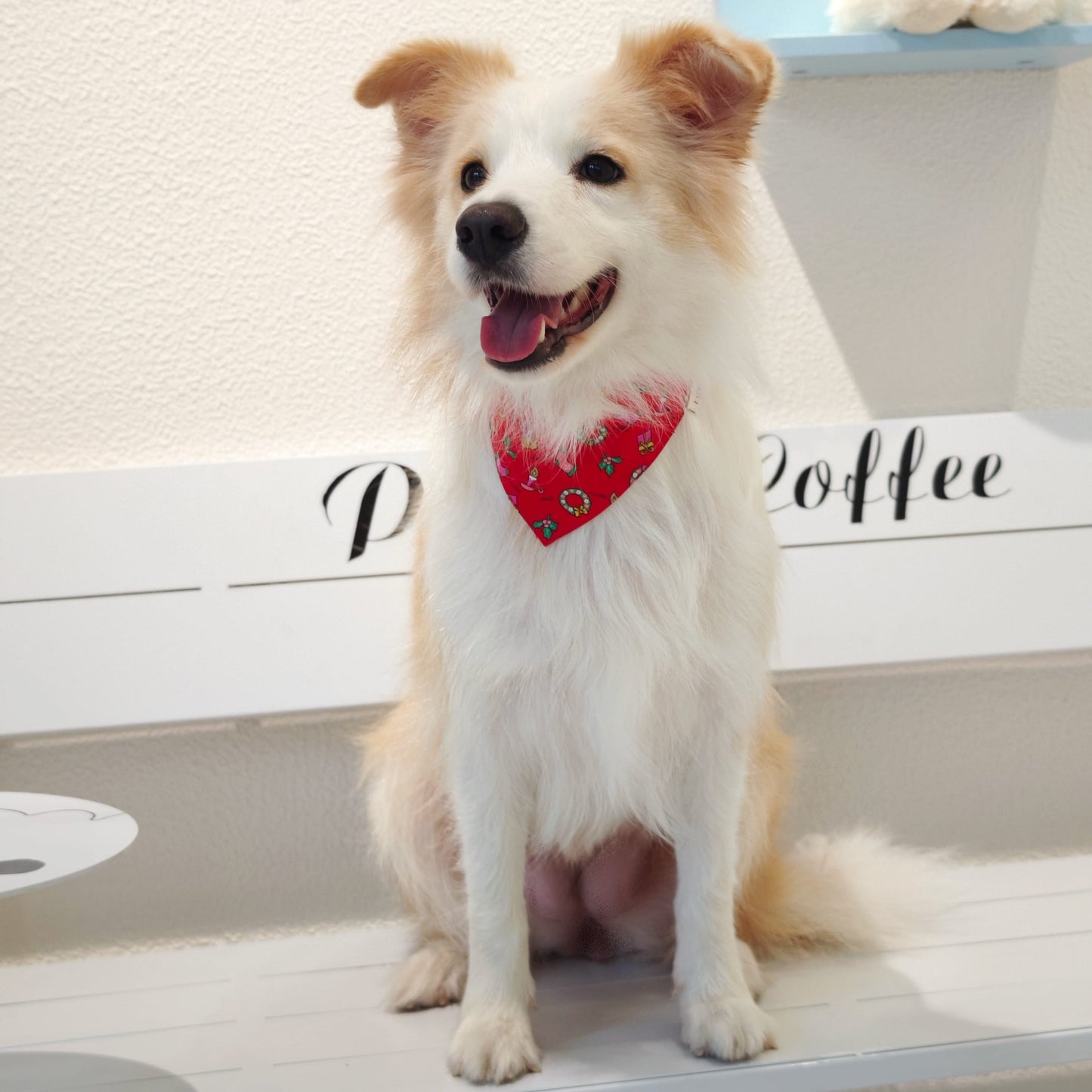 Avery – Christmas Bandana for Dogs | Holiday Style