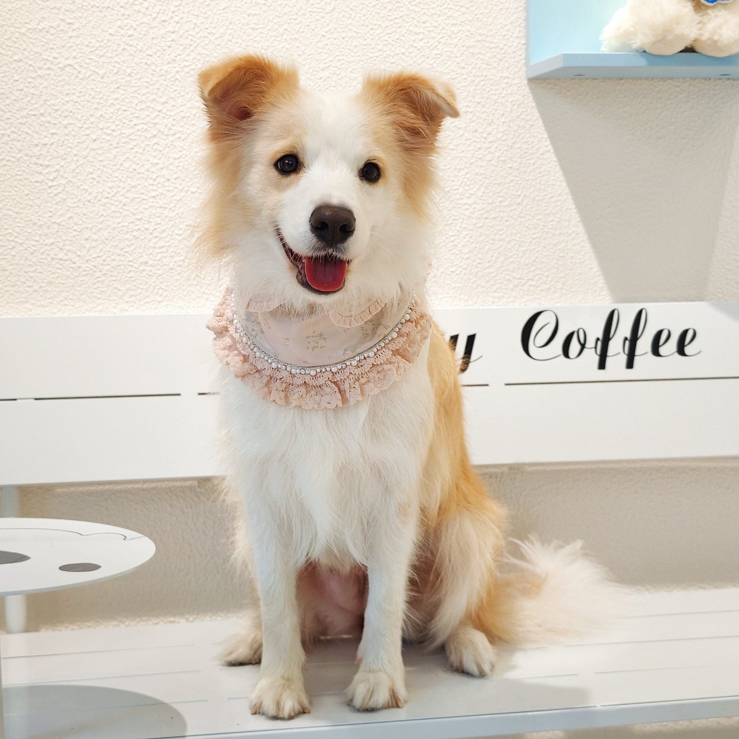 Ella – Pink Lace Dress for Pets | Soft, Elegant, Comfortable
