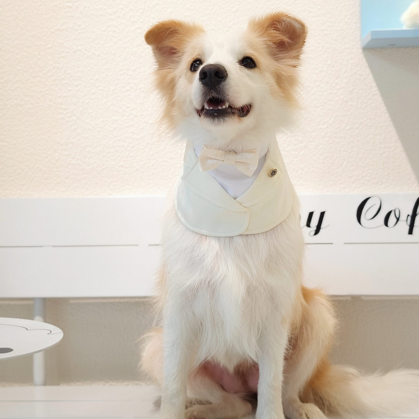 Oxford – Bowtie Suit for Dogs | Elegant Formal Pet Outfit