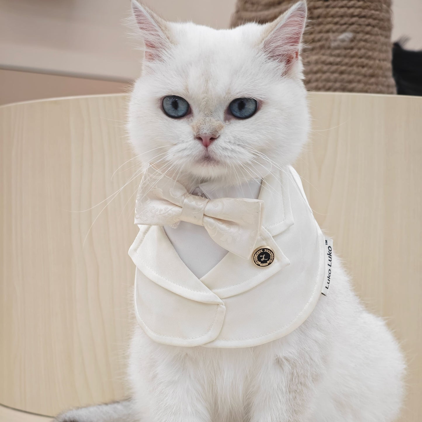 Oxford – Bowtie Suit for Dogs | Elegant Formal Pet Outfit