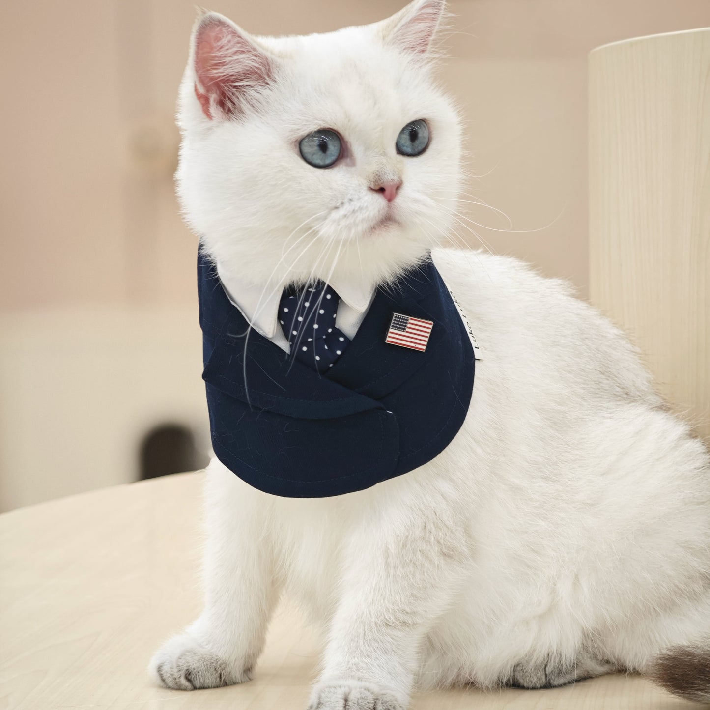 President – Red & Blue Tie Dog Suit | Formal Style
