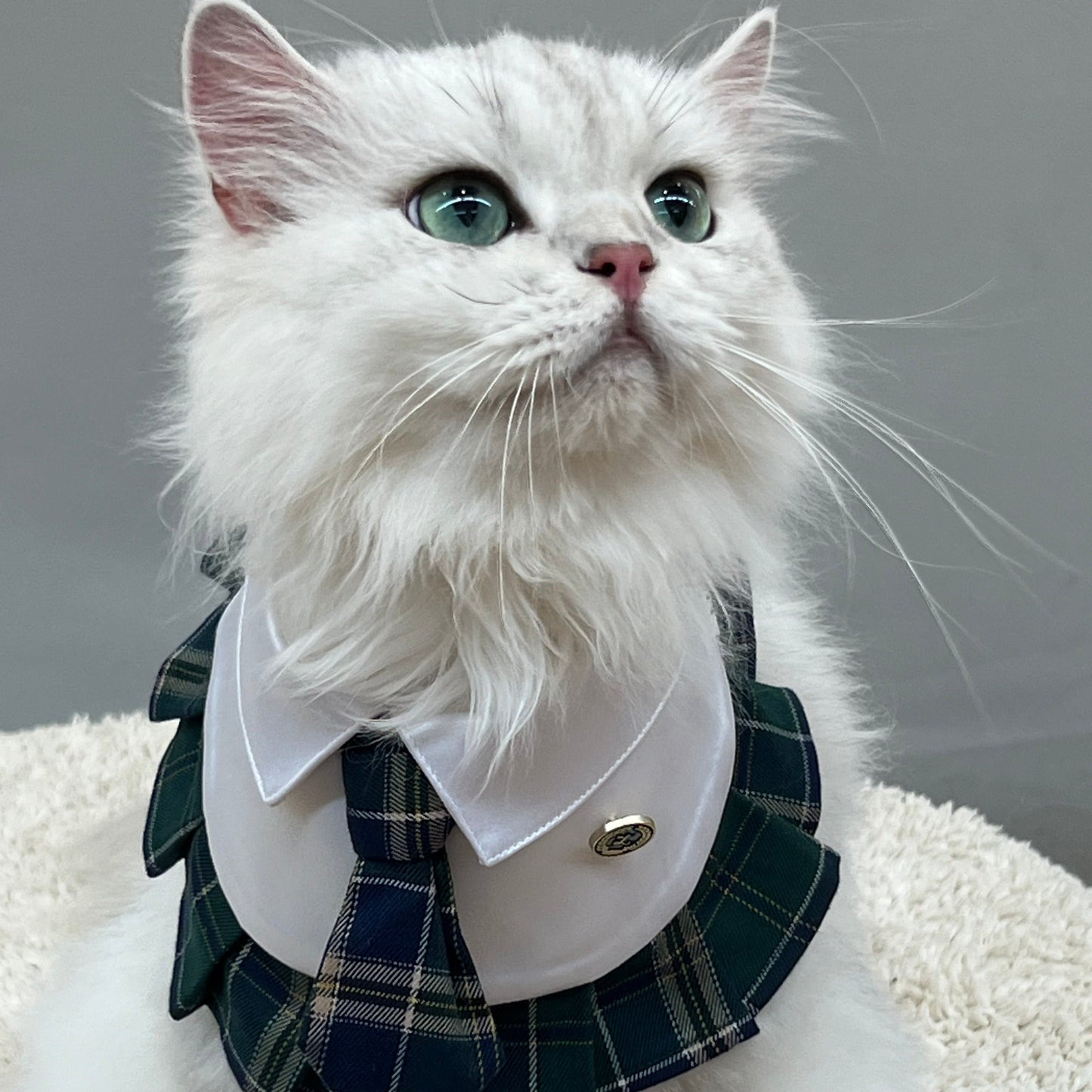 Emma – Schoolgirl Dog Outfit | Adorable Pet Uniform