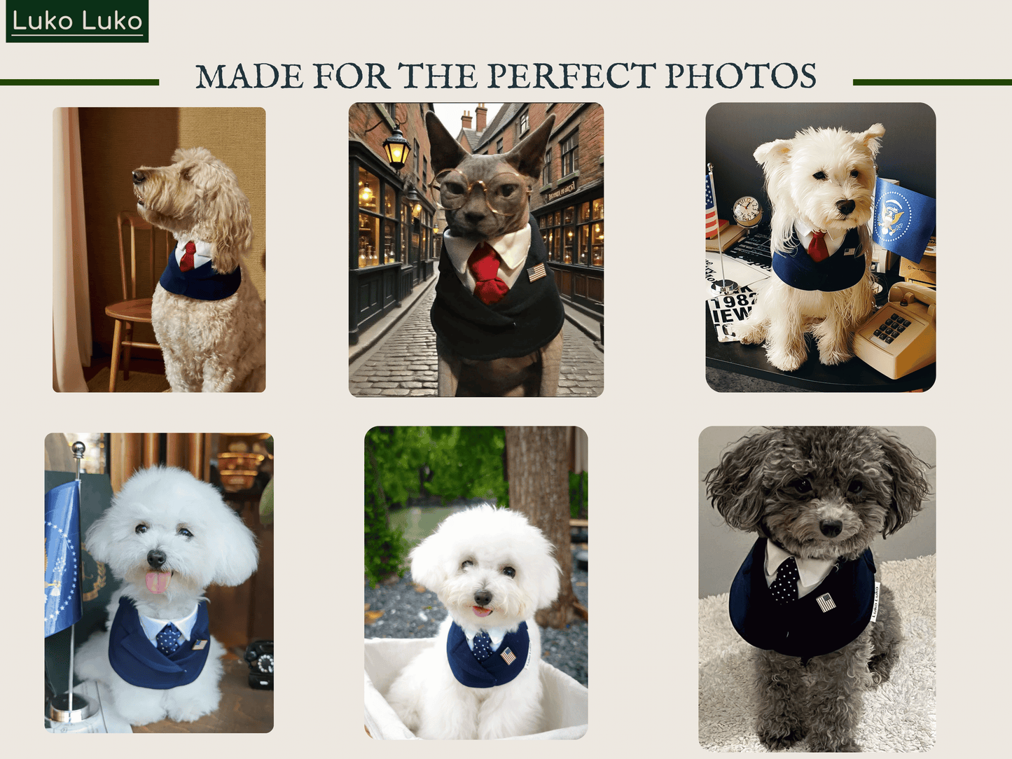 President – Red & Blue Tie Dog Suit | Formal Style