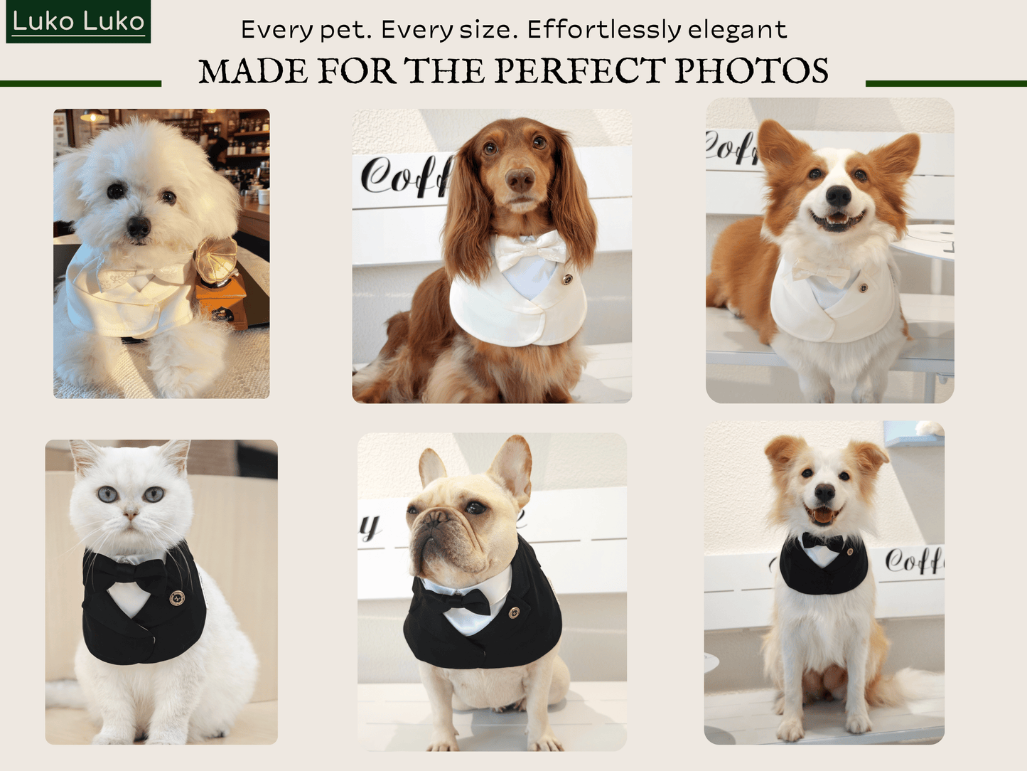Oxford – Bowtie Suit for Dogs | Elegant Formal Pet Outfit