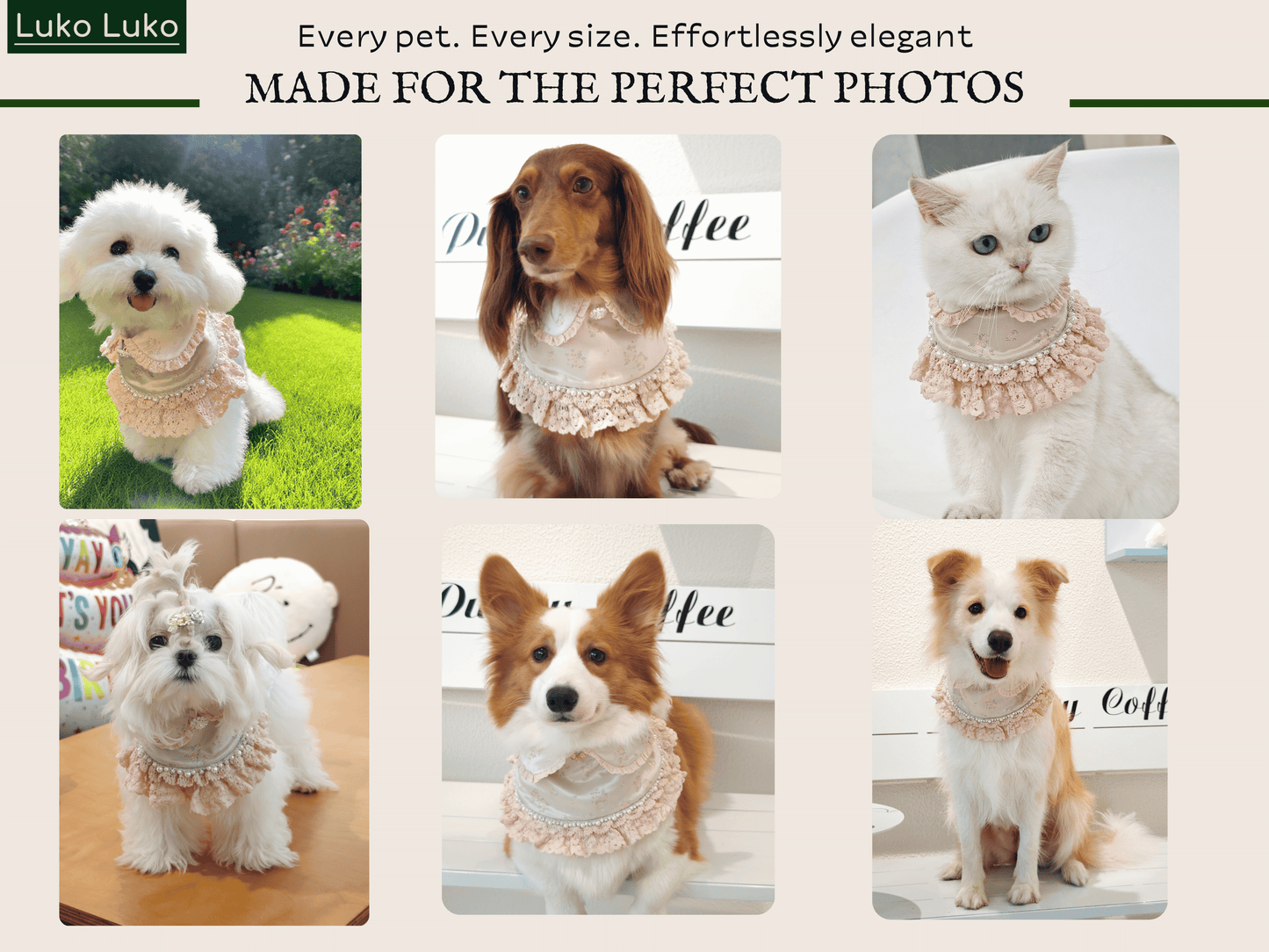 Ella – Pink Lace Dress for Pets | Soft, Elegant, Comfortable