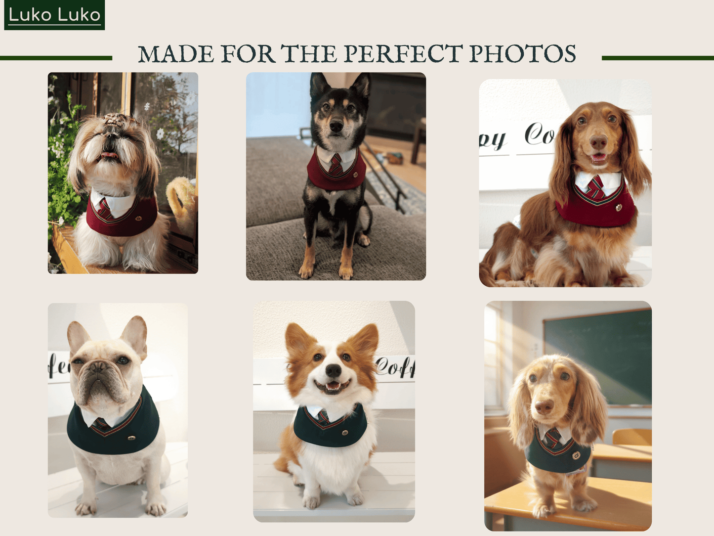Ivy – Red & Green Preppy Dog Bandana | Stylish Occasion Wear