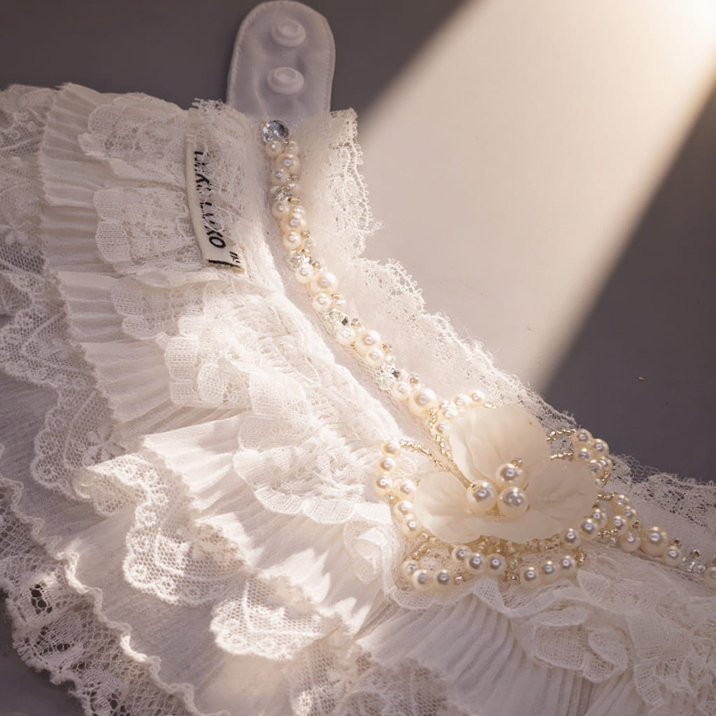Juliette – Lace Dog Dress | Elegant Formal Style