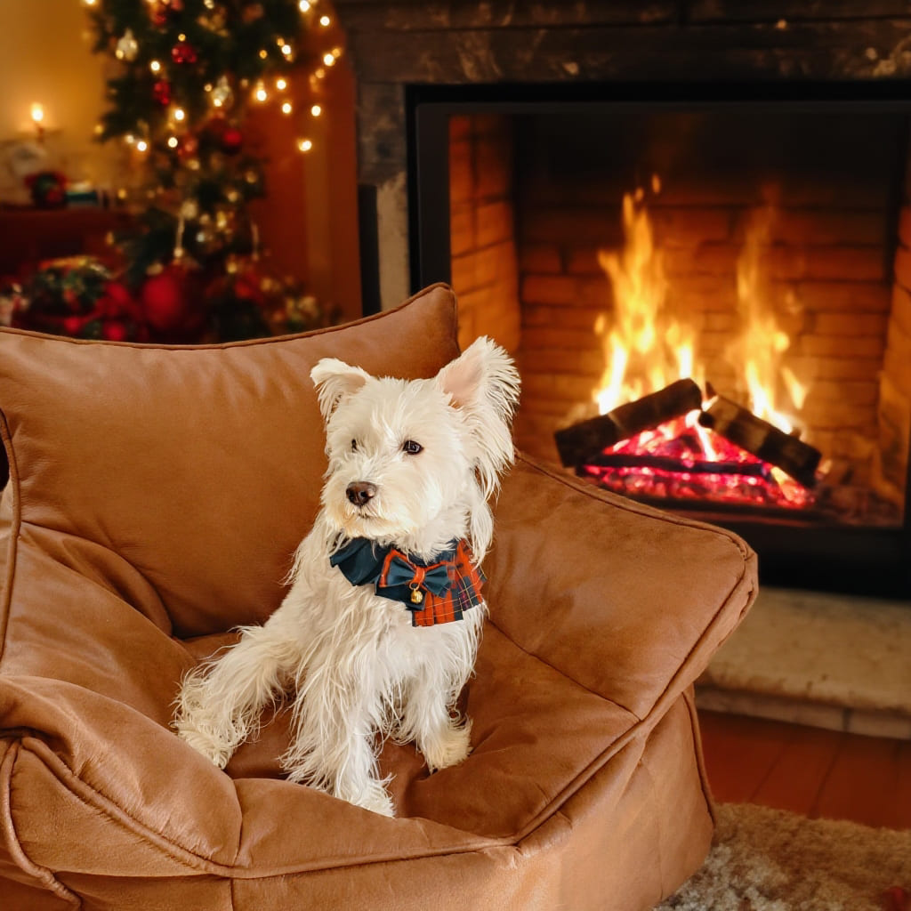 Noelle – Red & Green Plaid Dog Dress | Christmas Holiday Style