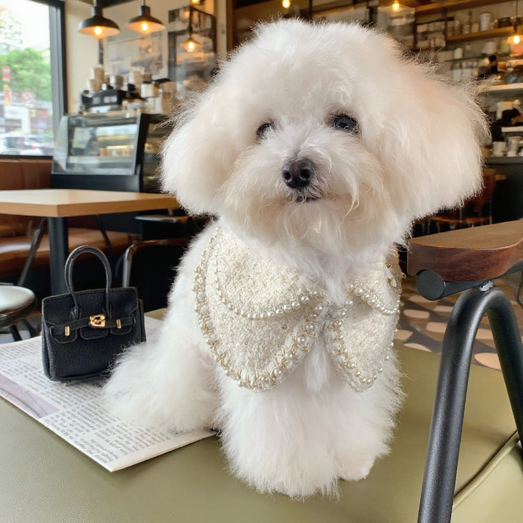 Jacqueline – Black & White Pearl Dog Jacket | Chic Formal Look