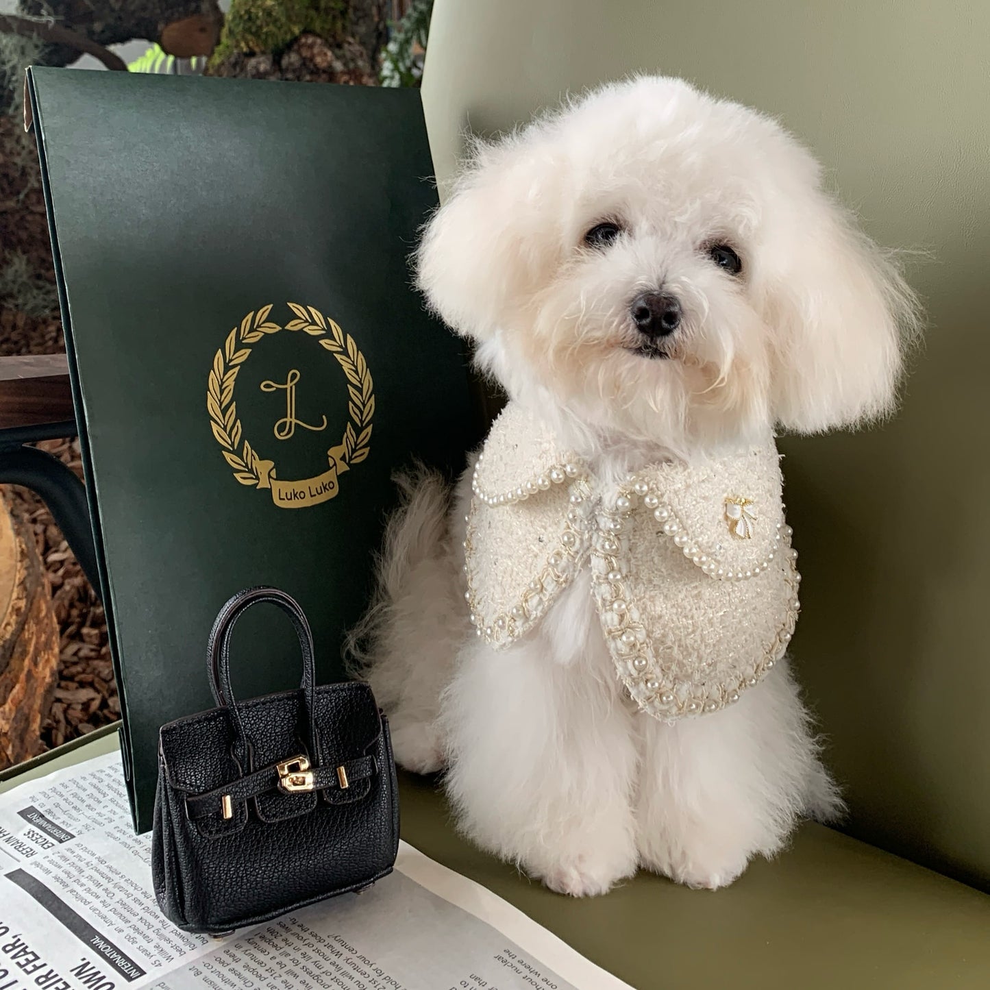 Jacqueline – Black & White Pearl Dog Jacket | Chic Formal Look