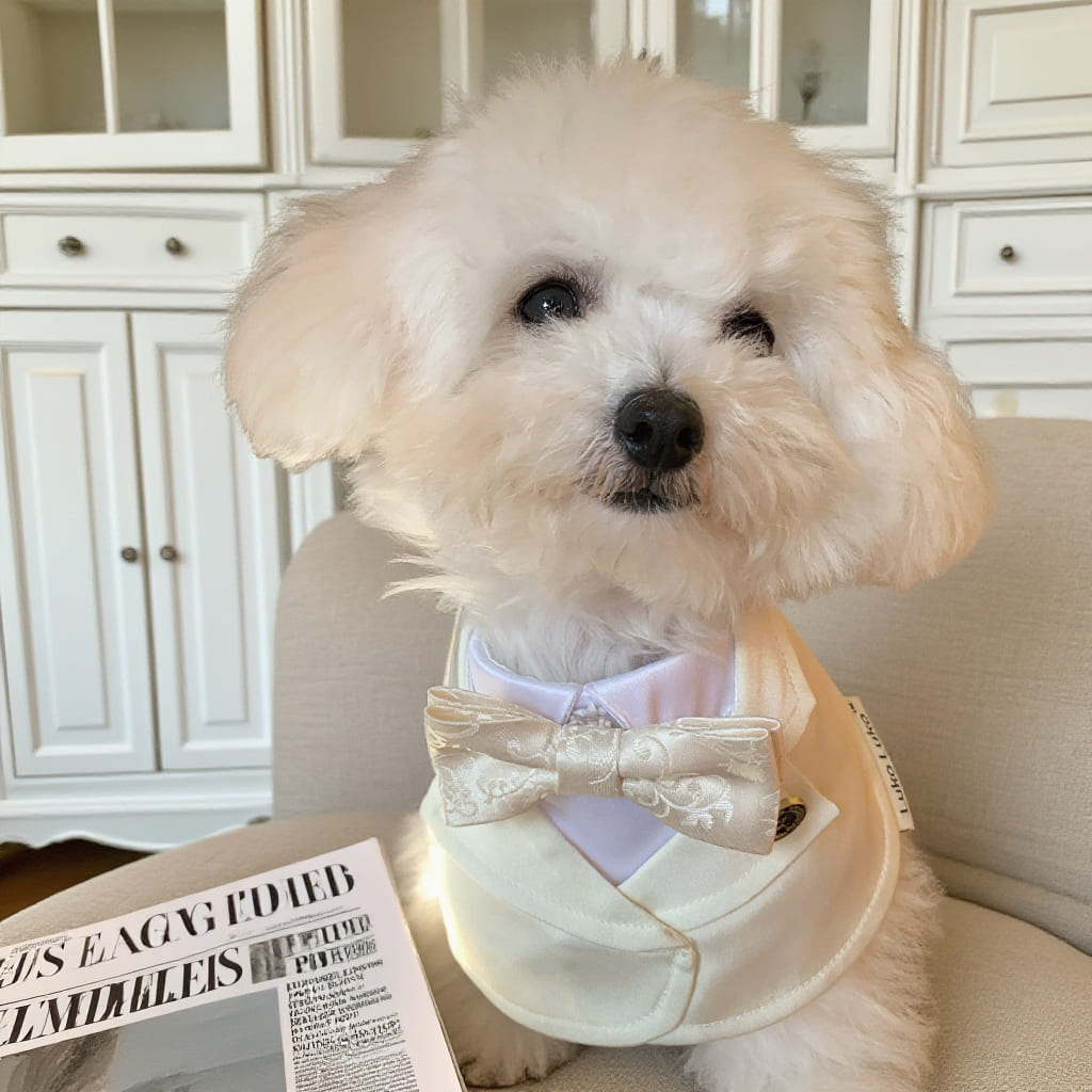 Oxford – Bowtie Suit for Dogs | Elegant Formal Pet Outfit