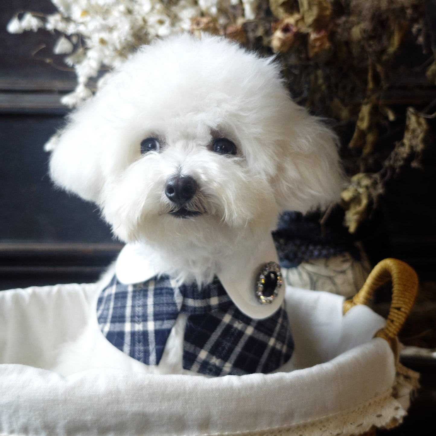 Sophie-French Elegance Cape Bandana with Optional Brooches
