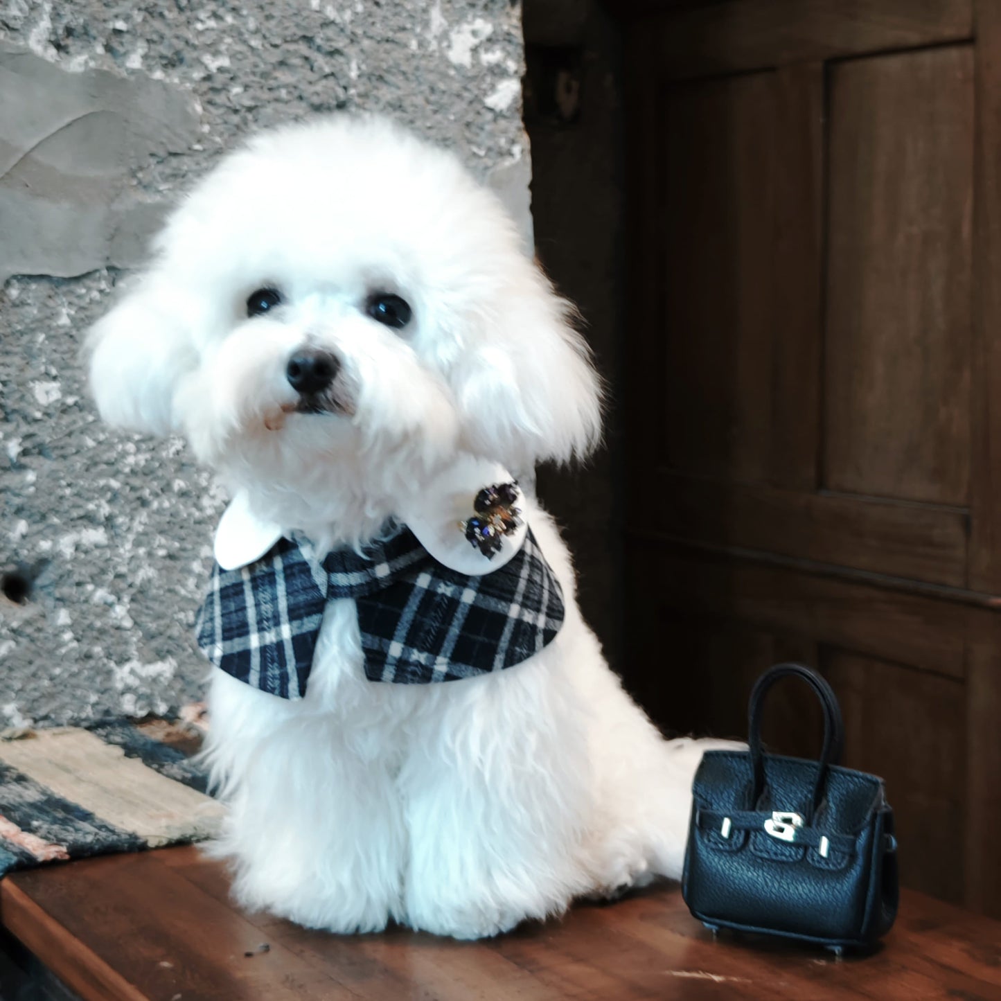 Midnight Frost – Blue Crystal Snowflake Brooch for Dogs | Winter Elegance Accent