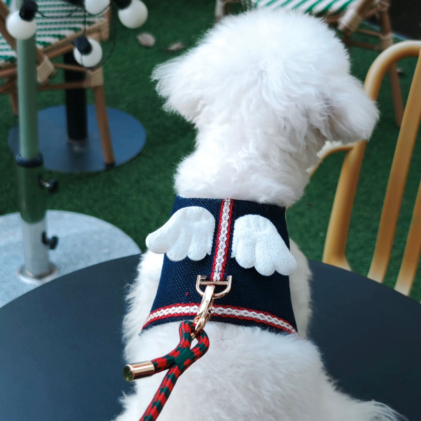 Harper – Premium Dog Leash & Collar Set | Durable & Adjustable