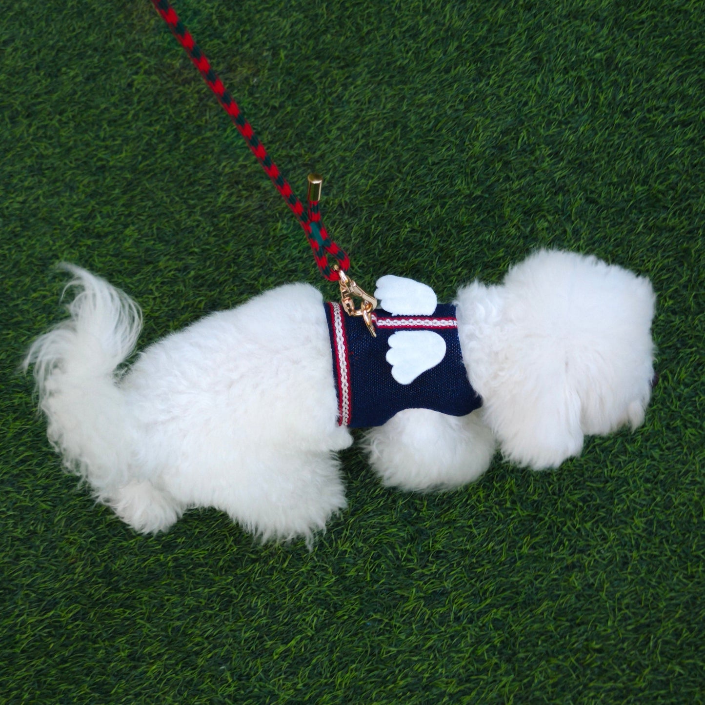 Harper – Premium Dog Leash & Collar Set | Durable & Adjustable