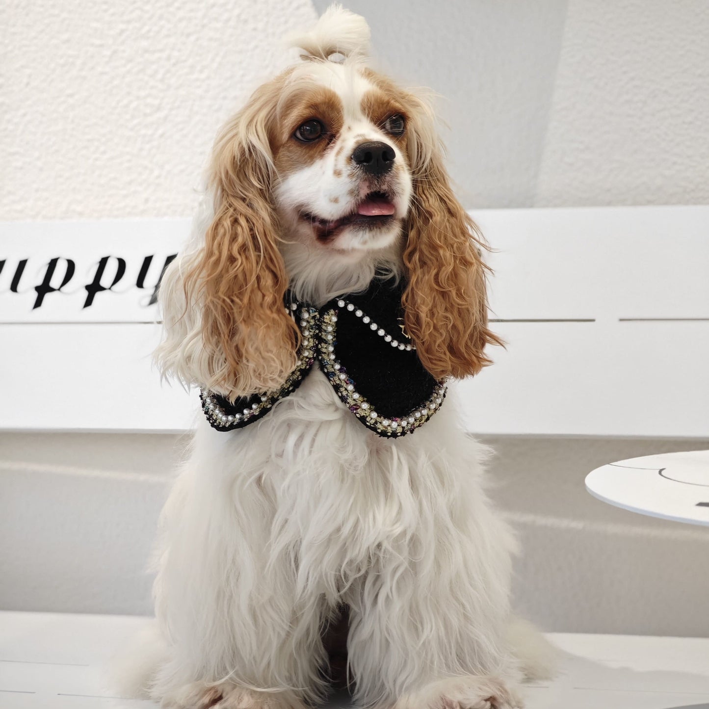 Jacqueline – Black & White Pearl Dog Jacket | Chic Formal Look