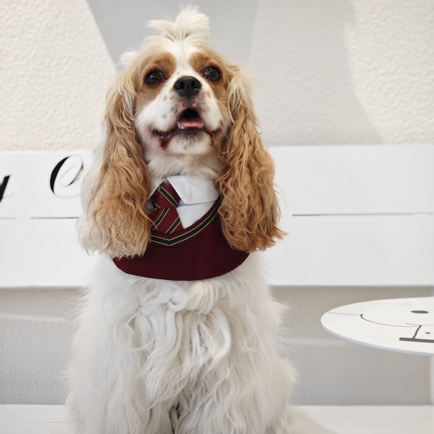 Ivy – Red & Green Preppy Dog Bandana | Stylish Occasion Wear