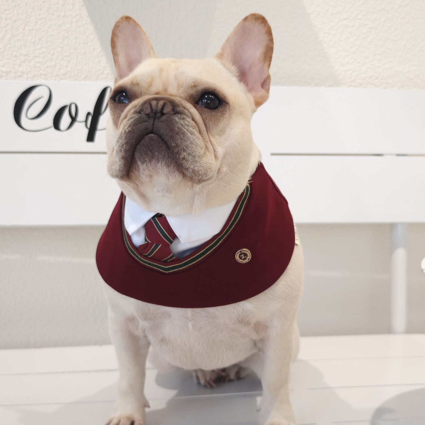 Ivy – Red & Green Preppy Dog Bandana | Stylish Occasion Wear