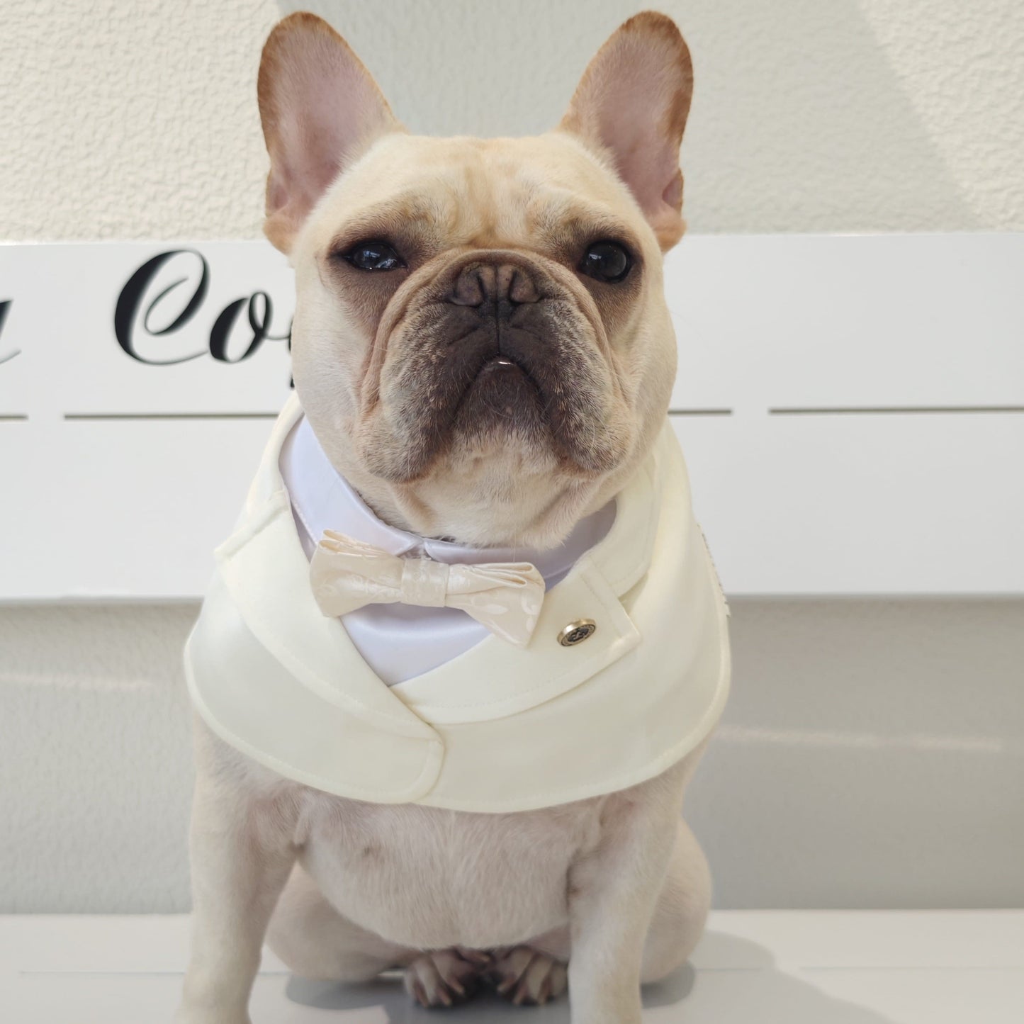 Oxford – Bowtie Suit for Dogs | Elegant Formal Pet Outfit