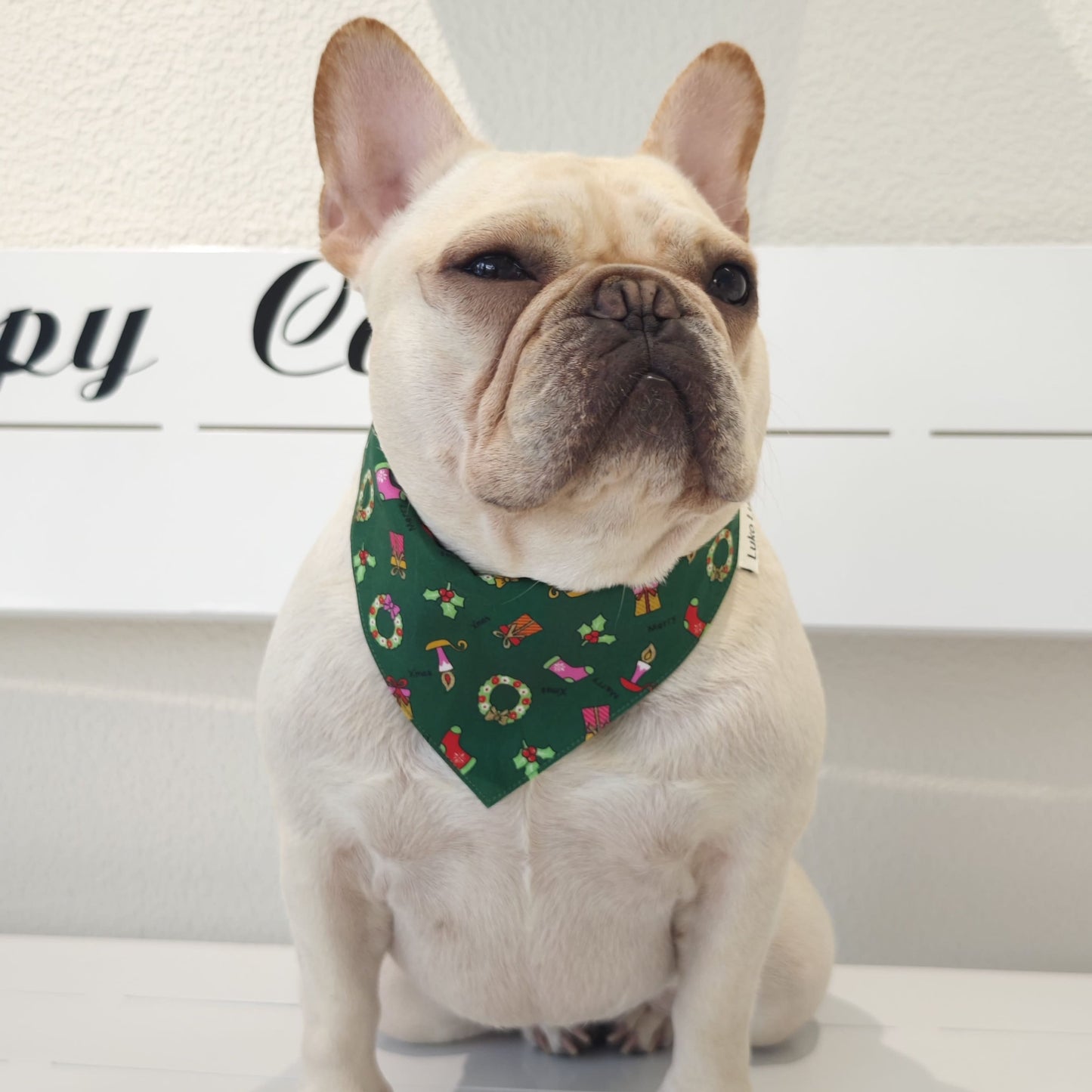 Avery – Christmas Bandana for Dogs | Holiday Style