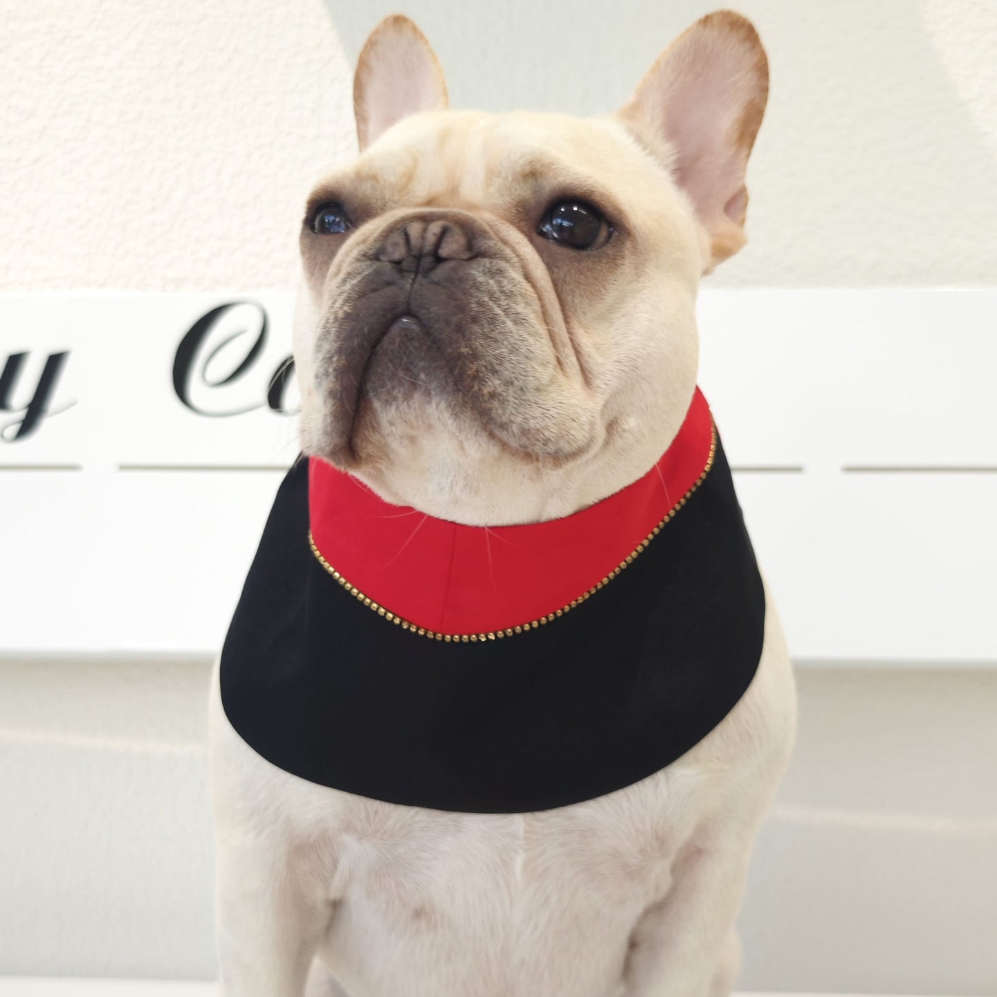 Valedictory – Red, Blue& Yellow Dog Graduation Gown & Cape | Elegant Outfit
