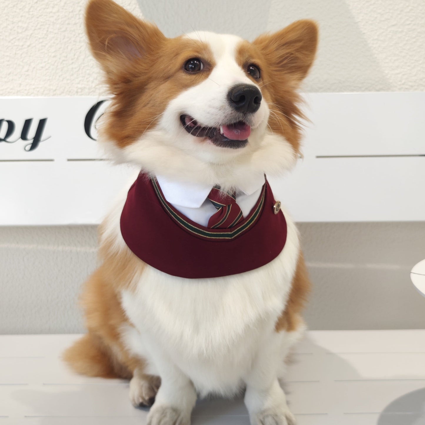 Ivy – Red & Green Preppy Dog Bandana | Stylish Occasion Wear