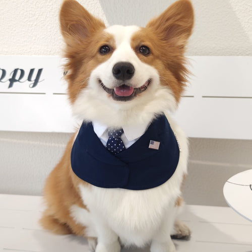 President – Red & Blue Tie Dog Suit | Formal Style