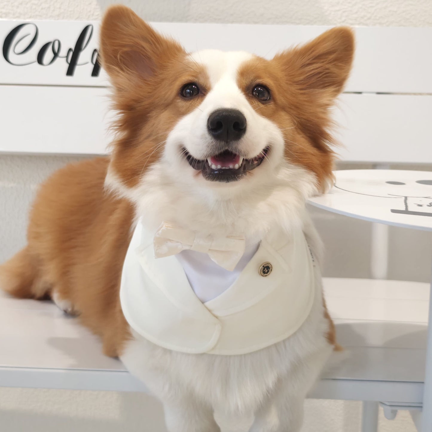 Oxford – Bowtie Suit for Dogs | Elegant Formal Pet Outfit