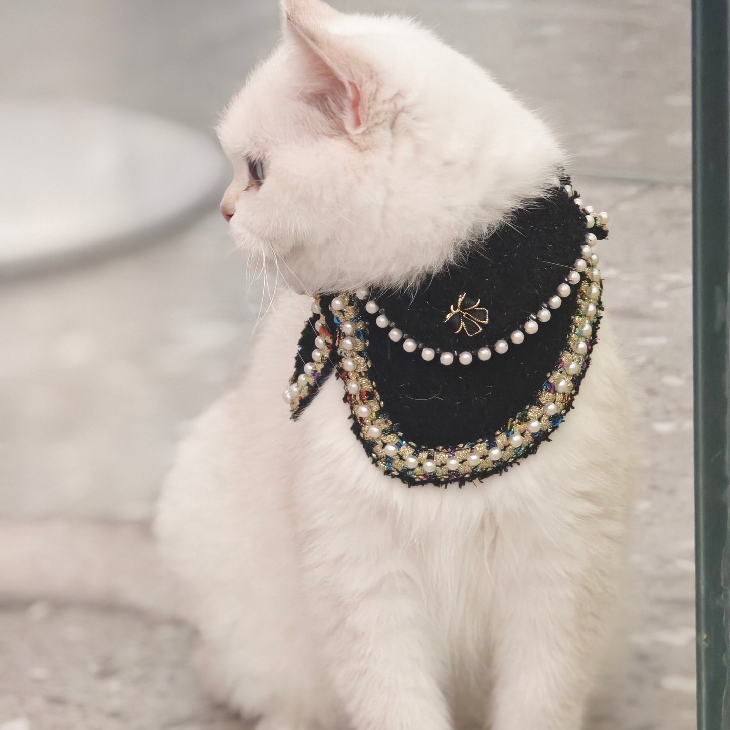 Jacqueline – Black & White Pearl Dog Jacket | Chic Formal Look