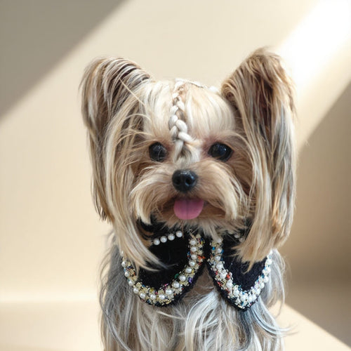 Jacqueline – Black & White Pearl Dog Jacket | Chic Formal Look