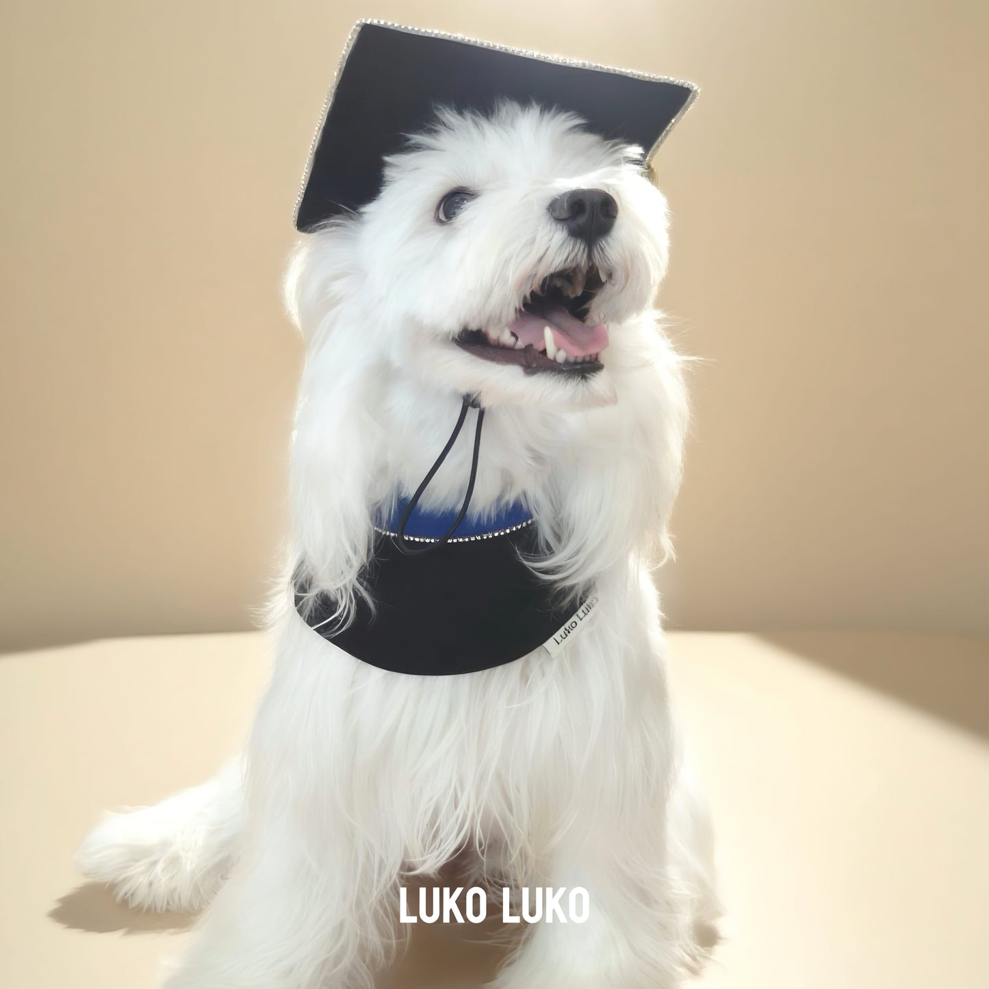 Valedictory – Red, Blue& Yellow Dog Graduation Gown & Cape | Elegant Outfit