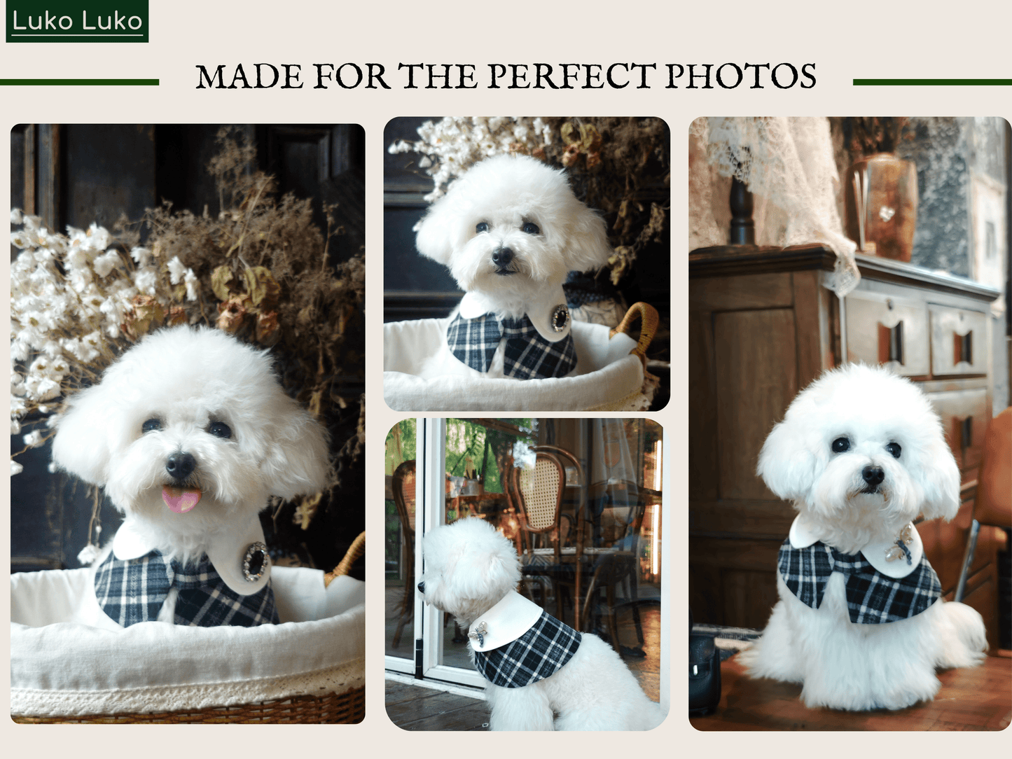 Sophie-French Elegance Cape Bandana with Optional Brooches