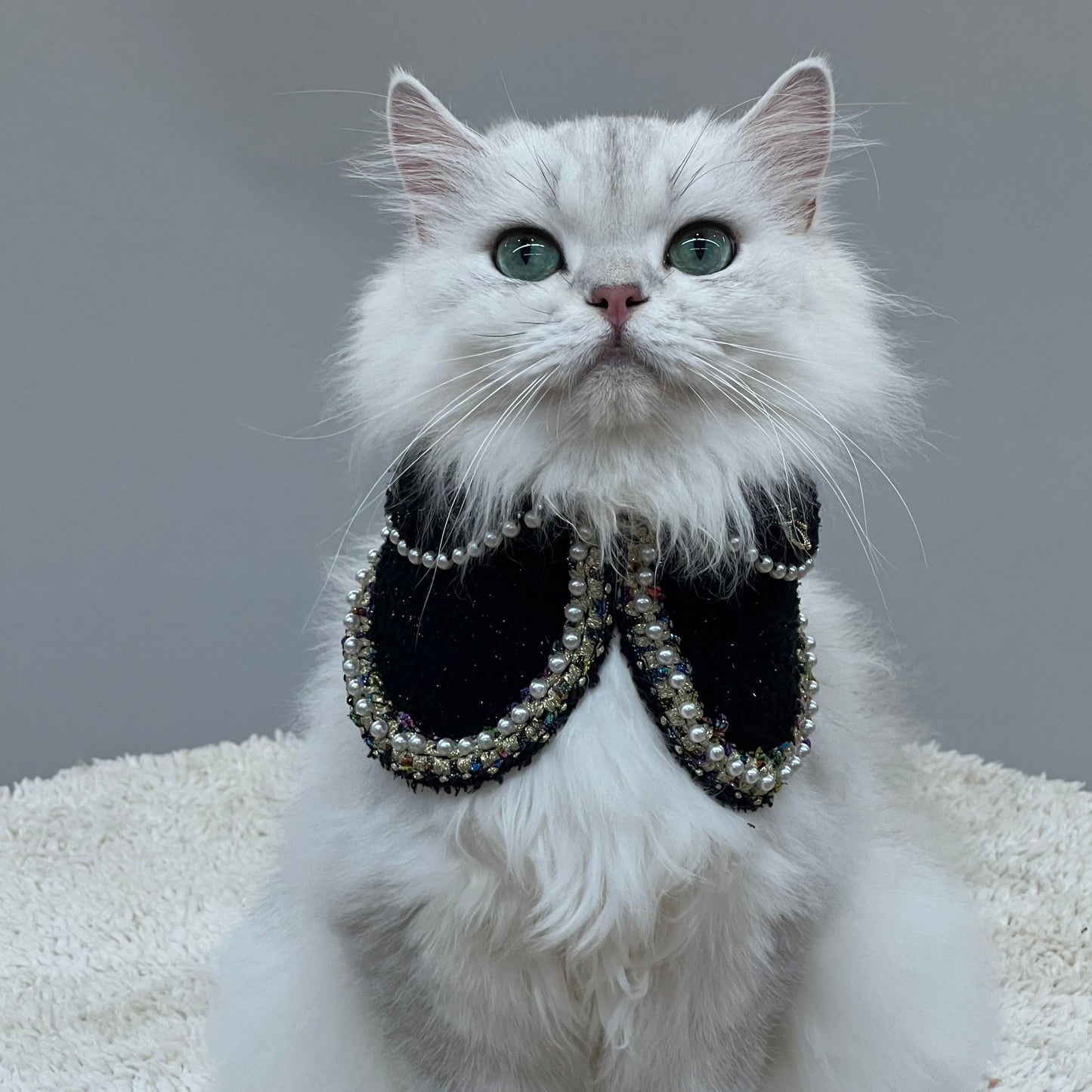 Jacqueline – Black & White Pearl Dog Jacket | Chic Formal Look