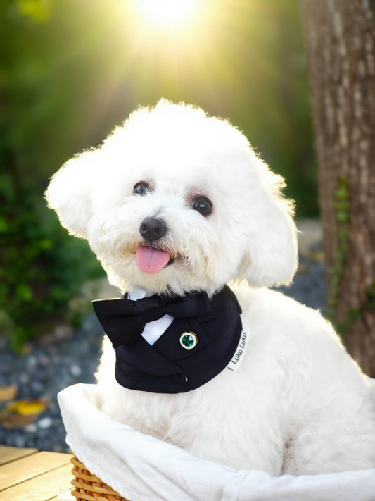 Oxford – Bowtie Suit for Dogs  | Elegant Formal Pet Outfit
