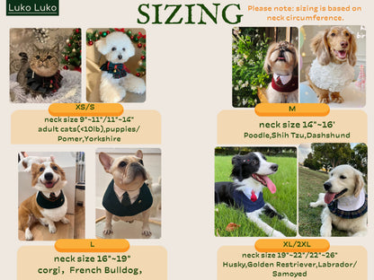 Windsor – Burgundy & Green Dog Suit | Elegant Outfit