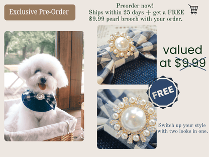 Jessie - Denim Bow Dog Cape | Western Charm & Stylish Design