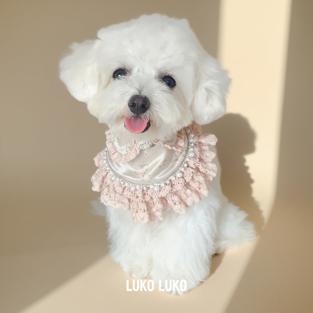 Ella –  Pink Lace Dress for Pets | Soft, Elegant, Comfortable