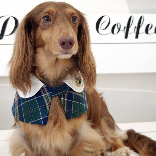 Evelyn - Green Plaid Dog Cape | Classic Elegance & Versatile Charm